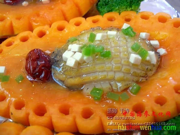 2006yutao025.jpg