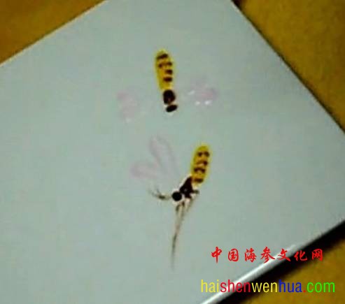 未命名1234566.jpg